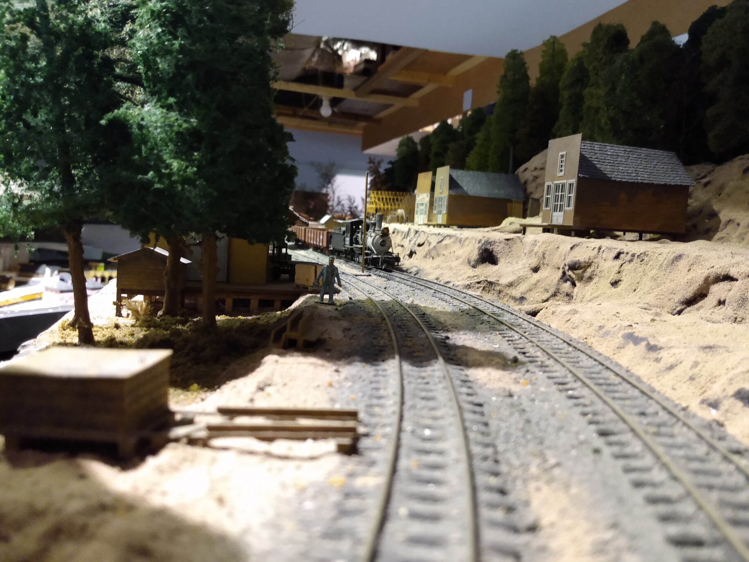 Dr. Joe Nichols, Jr.'s Alpine Central Railroad - Piedmont Pilgrimage